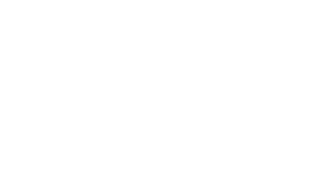 ELASTICSEARCH