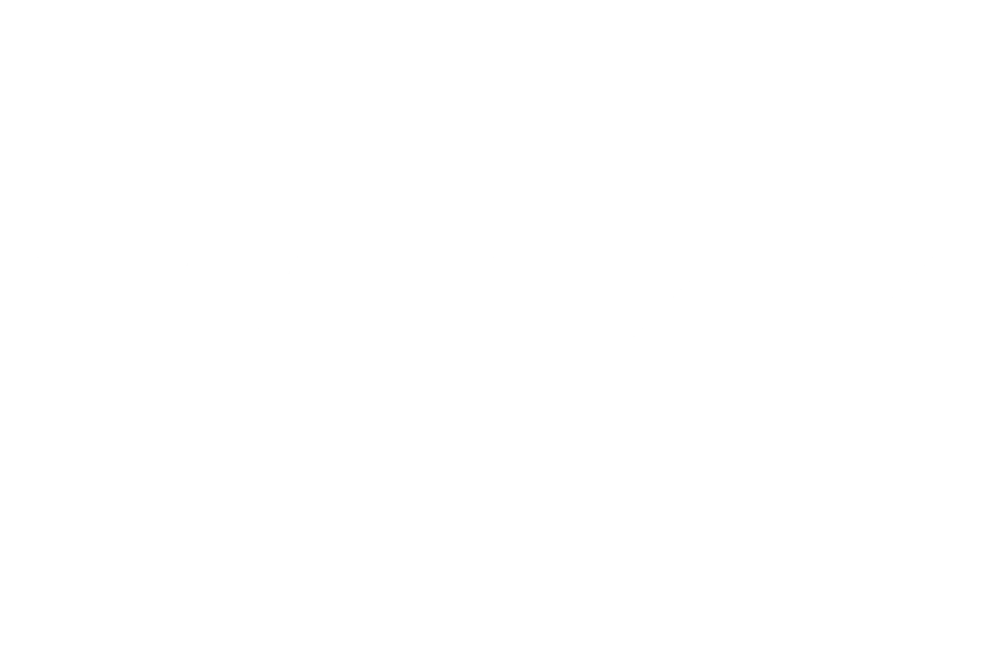 Nginx-Logo